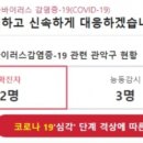 보라매동-17 이미지