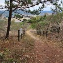 부주산산악자전거경기장 이미지