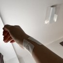 202603/ 봄, 벚꽃, 디즈니씨, 도쿄 3박4일 4 (돈카츠사이토 후기)