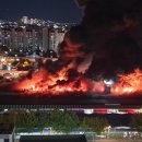 동대구역전시장 이미지