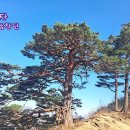 선구자 - 수원시립합창단 &amp;지휘 이상길 (조두남 작곡 / 김일권 편곡) 이미지