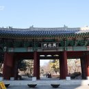 무덕태권도 | 서궐 경희궁 흥화문 지나 숭정전 앞을 걸어요