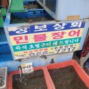 성보상회