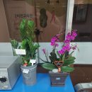 버킷리스트PT 이미지