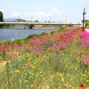 황룡강변2 이미지