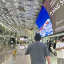 트래블메이트김포국제공항국내선점 | 김포공항 유아동반 우선검색·우선탑승 이용 후기｜국내선 수유실 위치 총정리