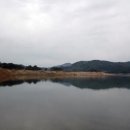 자연숨 이미지