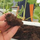 다기경로당 이미지