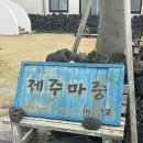 제주마중in판포 이미지