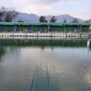 화제낚시터 이미지