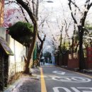 가을코스2 이미지