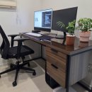 스펙피씨카페 | 데스크테리어의 완성 🌿 책상 위 공간을 2배로 넓혀주는 LG 올인원 컴퓨터 한 달 사용기