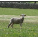 당당한 삶 이미지