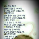 풀향 이미지