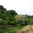 세천농장 이미지