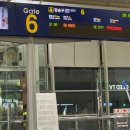 바니이발소 | [2408-다섯째주-01] 베트남 다낭 여행