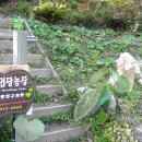 먼당농장 이미지