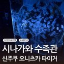 레스카페 대치점 | [도쿄 여행] 20개월 아이동반 / 맥셀 아쿠아파크 돌고래쇼 🐬 시나가와 수족관 & 신주쿠 오니츠카 타이커...