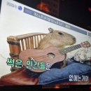 에이피싱 | 법원 등기우편 보이스피싱 후기 대응방법 우체국 전화확인