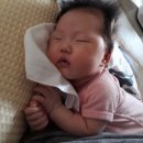 명당연향 이미지