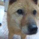 서교초교 이미지