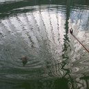 여주낚시터 이미지