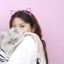 캣케밍 이미지