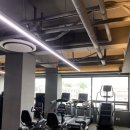 펄슨피티 이미지