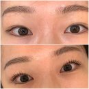 중앙공원로40번길 | 분당 서현역 속눈썹펌 호두뷰티 후기