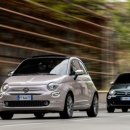 타이어판다 이미지