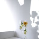 린플라워 이미지