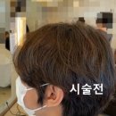 컷트와파마의만남
