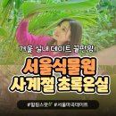 마곡11 나무햇살어린이집 | 서울식물원 온실, 겨울 실내 데이트 인생샷 100장 건지는 서울식물원 관람후기