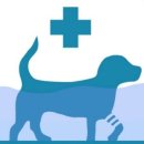 H 동물병원 이미지