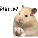 숙희농장 이미지