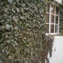 구인농장 이미지