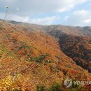 하동 이미지