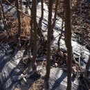 느티농원 이미지