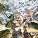 지고쿠다니 야생원숭이공원. 스노우몽키파크 "겨울아 나 살려라"~ 원숭이가 사람 구경하다 이미지