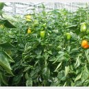 거제면사무소 이미지