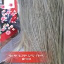에쉬헤어샾 이미지