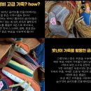 미스터베이스볼 | GN 팔레트 글러브 실사용 후기 | 10만 원 이하 초가성비 입문용 사회인 야구 글러브 추천