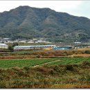 태양종계장 이미지