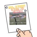 중부동 대동아파트 상가앞 | [부산, 양산] 핑크키티구피 분양합니다