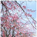 아림 건축사사무소 | 거창 가볼만한곳 건계정