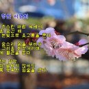 waltz of spring(봄의 왈츠) / praha & photo 이미지