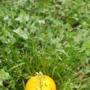 승연농장 이미지