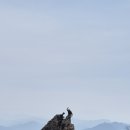 26.3.28~29 천등,대둔산 원정( 묻지마, 꽃피는벽투페이스) 이미지