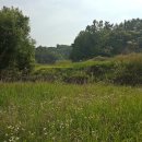 지평중학교 이미지