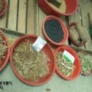 화순장 이미지